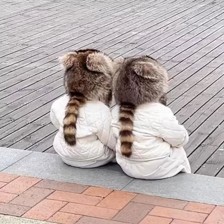 Winter Thickening Lei Feng Hat Season Thickened Cute Raccoon Tail Plush Cap Women Winter Windproof Thick Warm Ears Flaps Hat