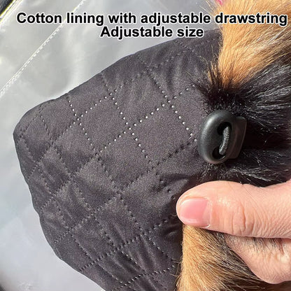 Winter Thickening Lei Feng Hat Season Thickened Cute Raccoon Tail Plush Cap Women Winter Windproof Thick Warm Ears Flaps Hat